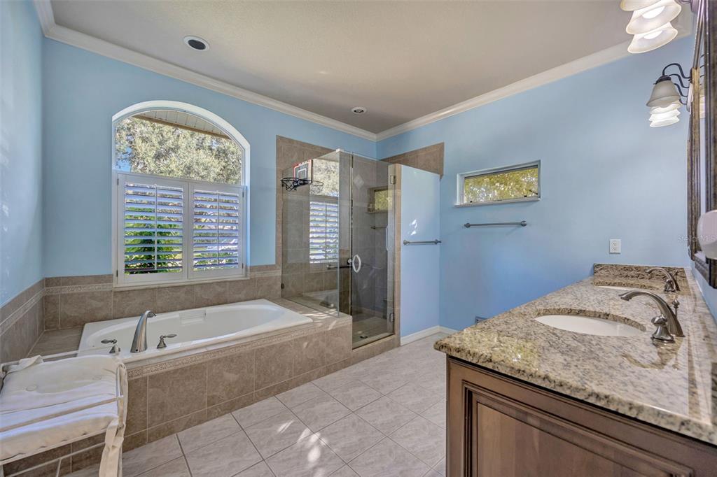 507 Surrey Lane Lutz, FL 33549 - Photo 8 of 27 a bathroom with a granite countertop tub a sink and a large window