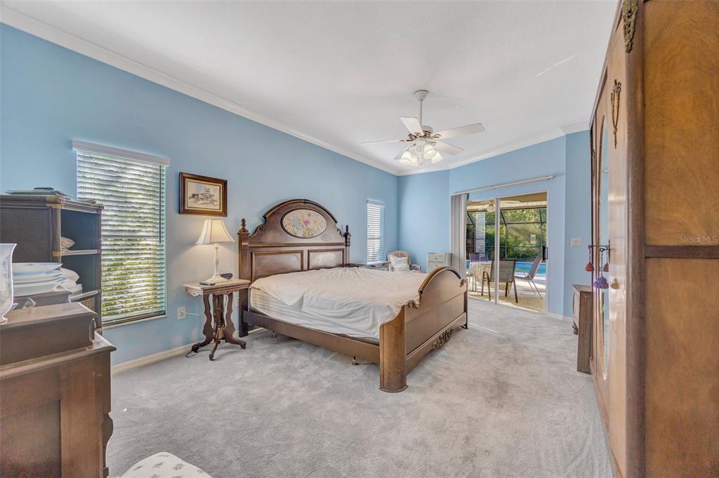 507 Surrey Lane Lutz, FL 33549 - Photo 9 of 27 a bed sitting in a spacious bedroom next to a window