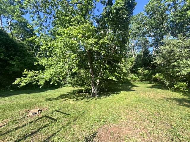 150 Field View Lane West Tisbury, MA 02568 - Photo 18 of 20 Large side yard
