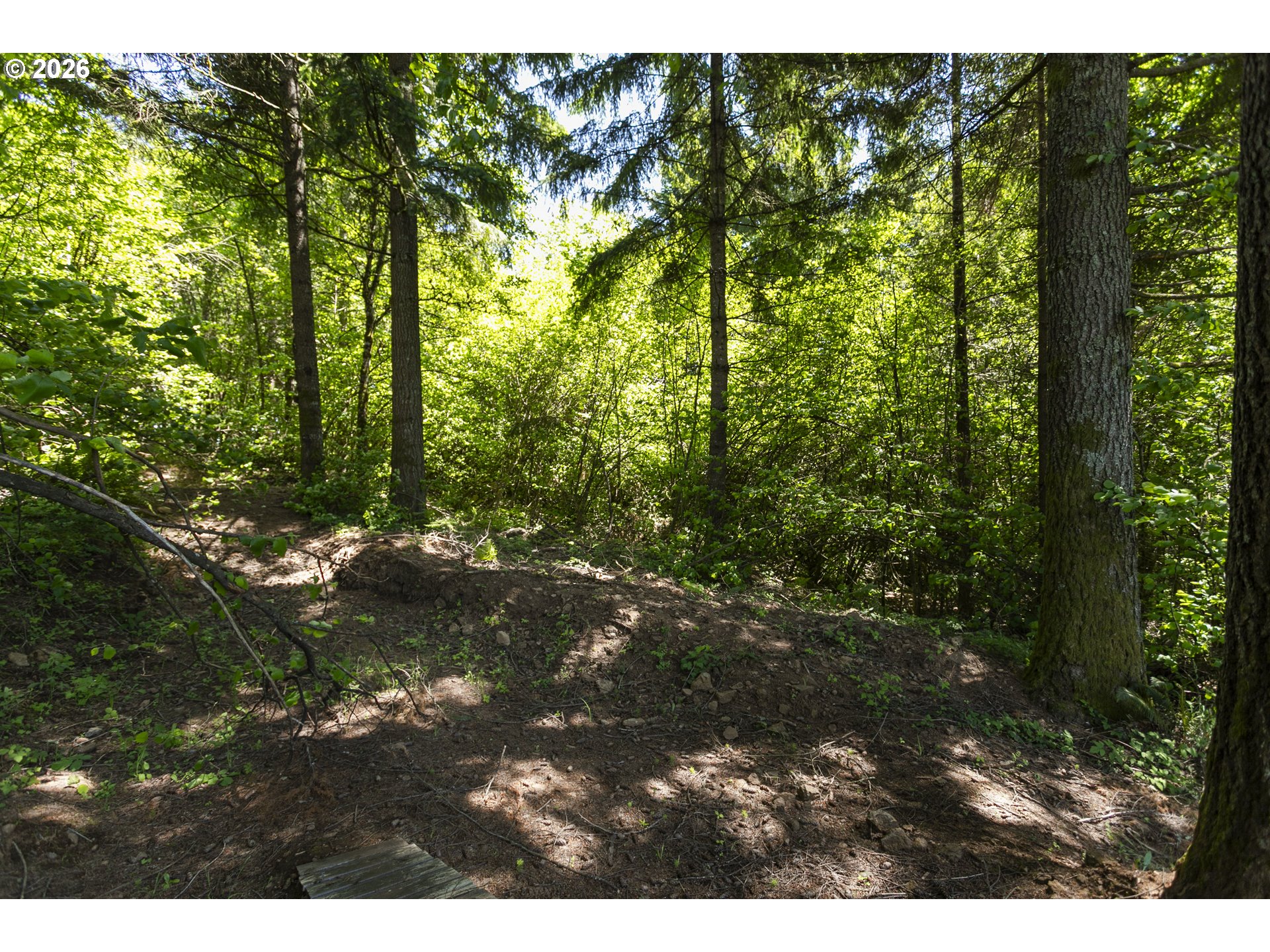 0 Northeast 292nd Court Camas, WA 98607 - Photo 9 of 14