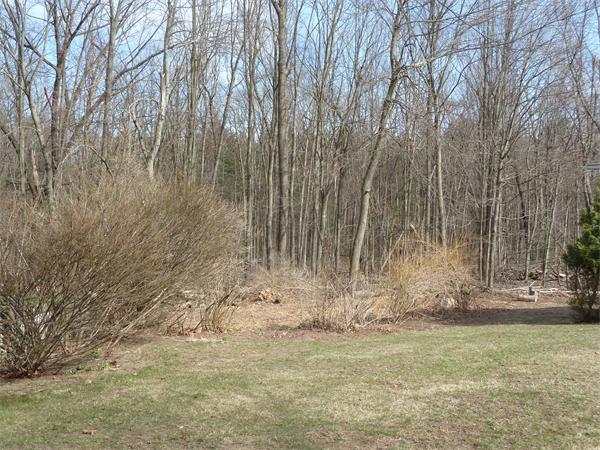 200 Manchonis Road Wilbraham, MA 01095 - Photo 22 of 23 Gallery Image 22