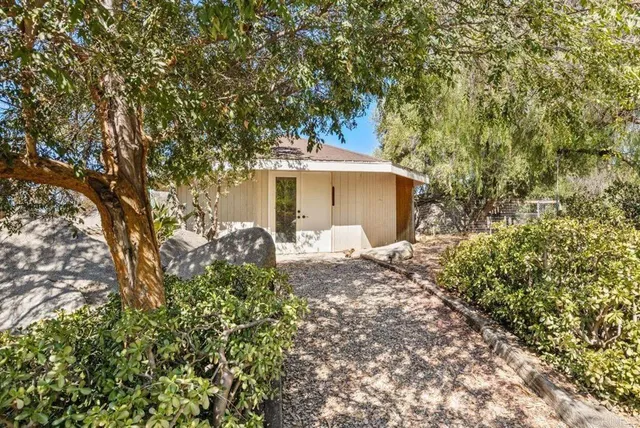 a picture of plants and flowers