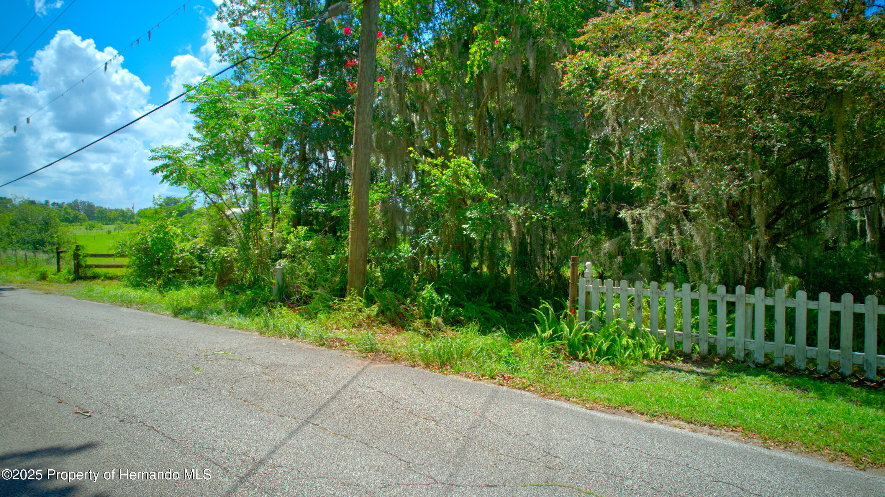 0 Whitman Road Brooksville, FL 34601 - Photo 9 of 30