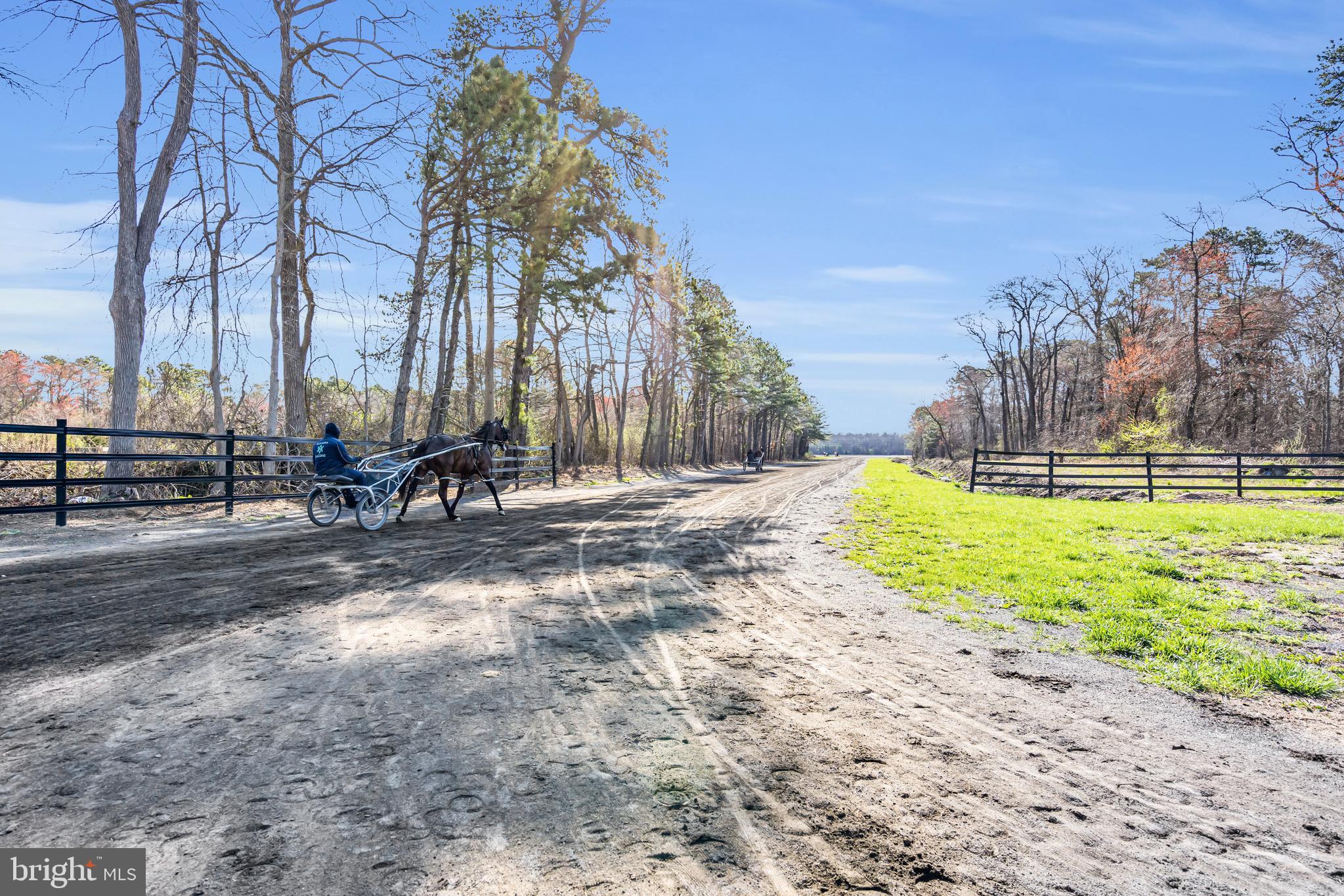 935 Lakewood Farmingdale Road Howell, NJ 07731 - Photo 11 of 28 a view of a park with bench and trees