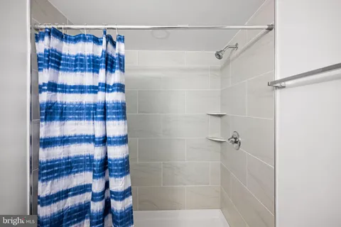 a view of a yard in front of a house with a large tree