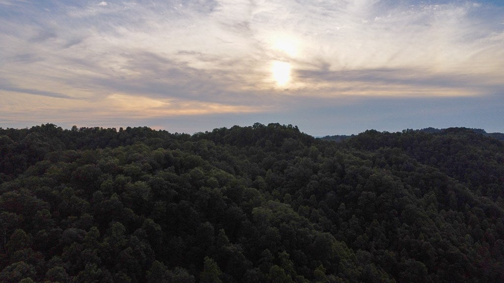 3659 Cranenest Road Vansant, VA 24656 - Photo 15 of 60 Gallery Image 15