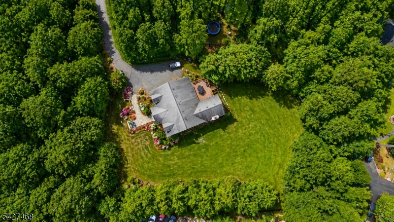 20 Sleepy Hollow Road Denville, NJ 07834 - Photo 3 of 49 an aerial view of residential house with outdoor space and trees all around