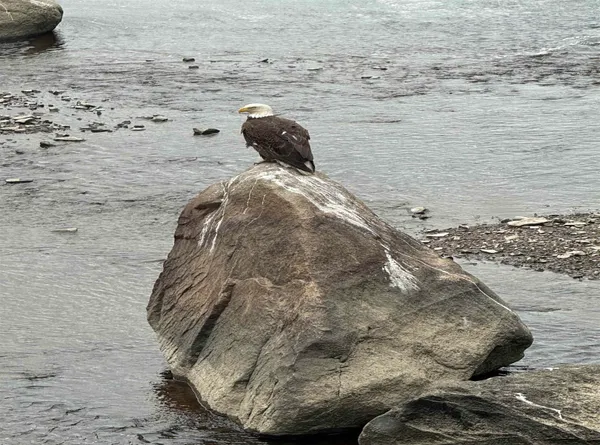 $950,000 | 10 String Bridge, Exeter, NH 03833