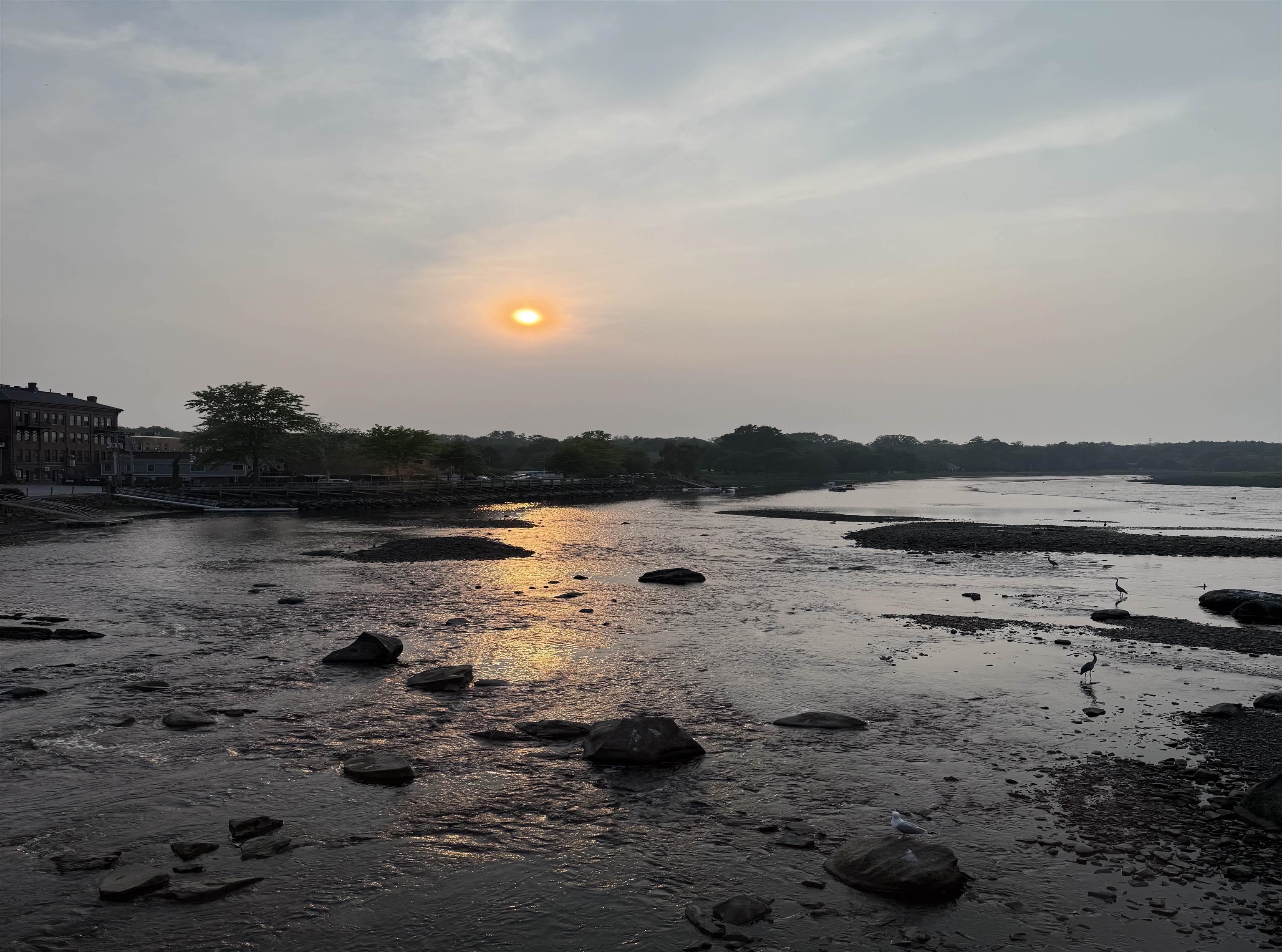 10 String Bridge Exeter, NH 03833 - Photo 48 of 54