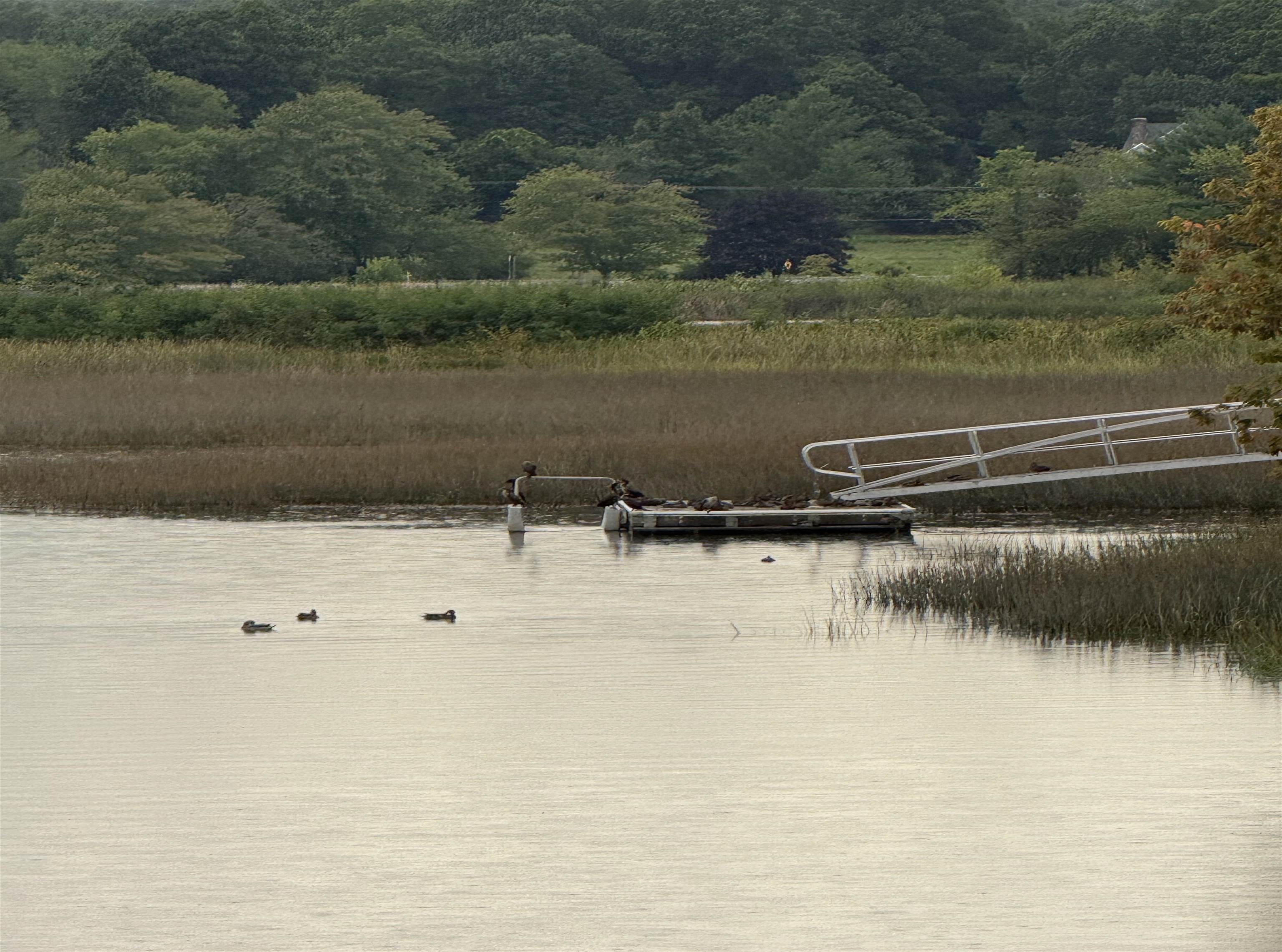 10 String Bridge Exeter, NH 03833 - Photo 53 of 54