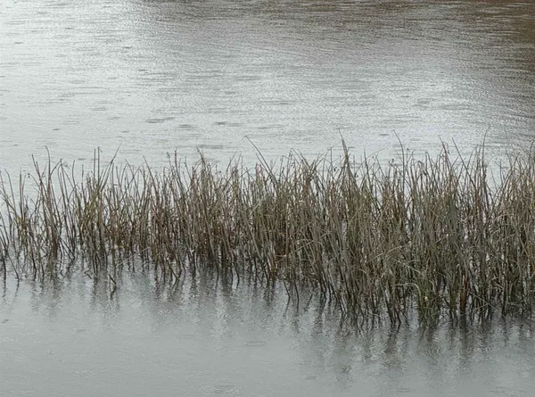 $950,000 | 10 String Bridge, Exeter, NH 03833