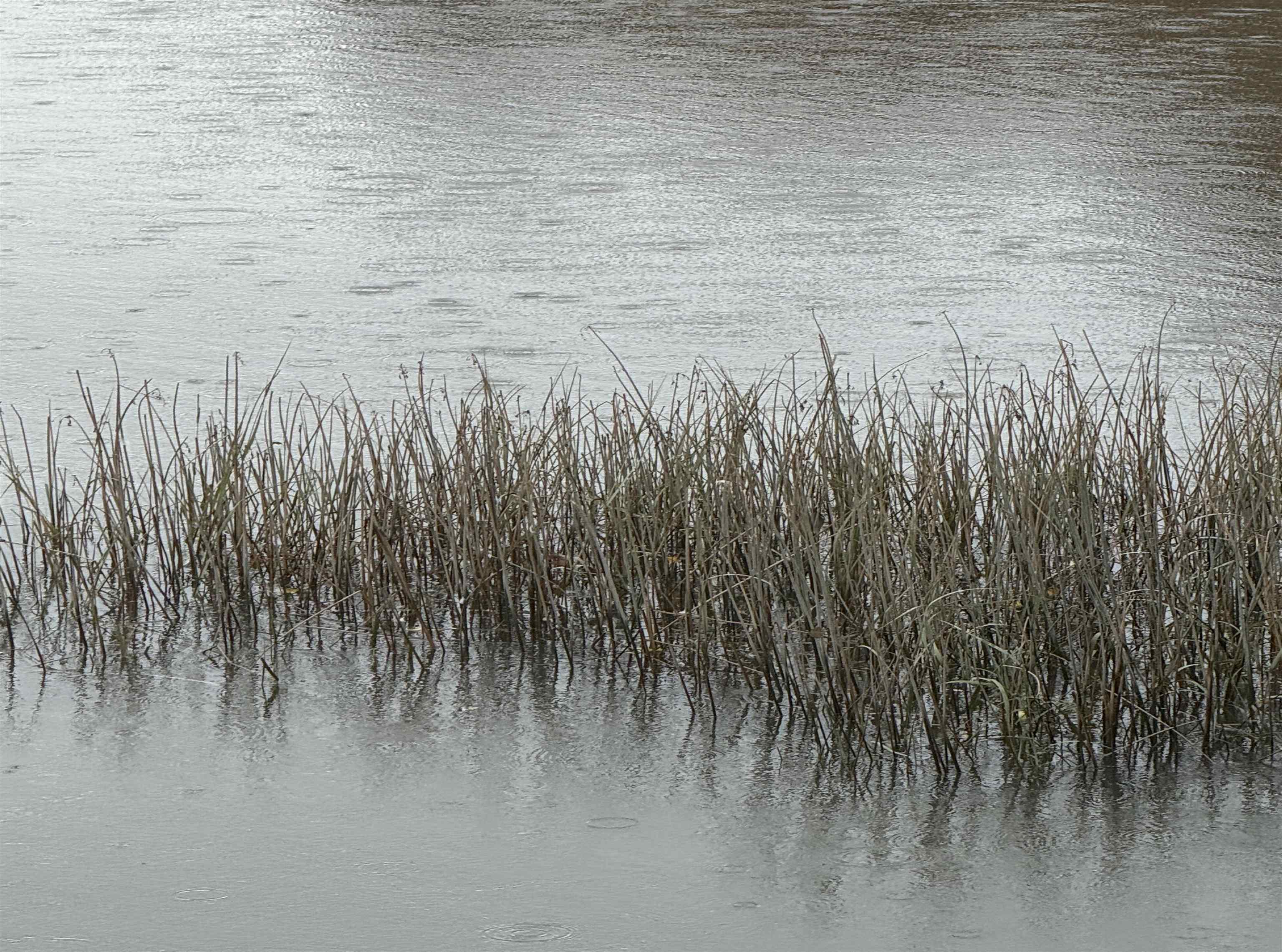 10 String Bridge Exeter, NH 03833 - Photo 54 of 54