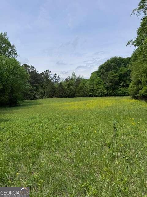 0 Deep Creek Road Dewy Rose, GA 30634 - Photo 1 of 1 Gallery Image 1