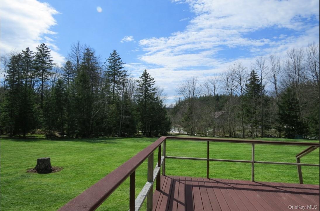 698 Cooley Road Parksville, NY 12768 - Photo 6 of 15