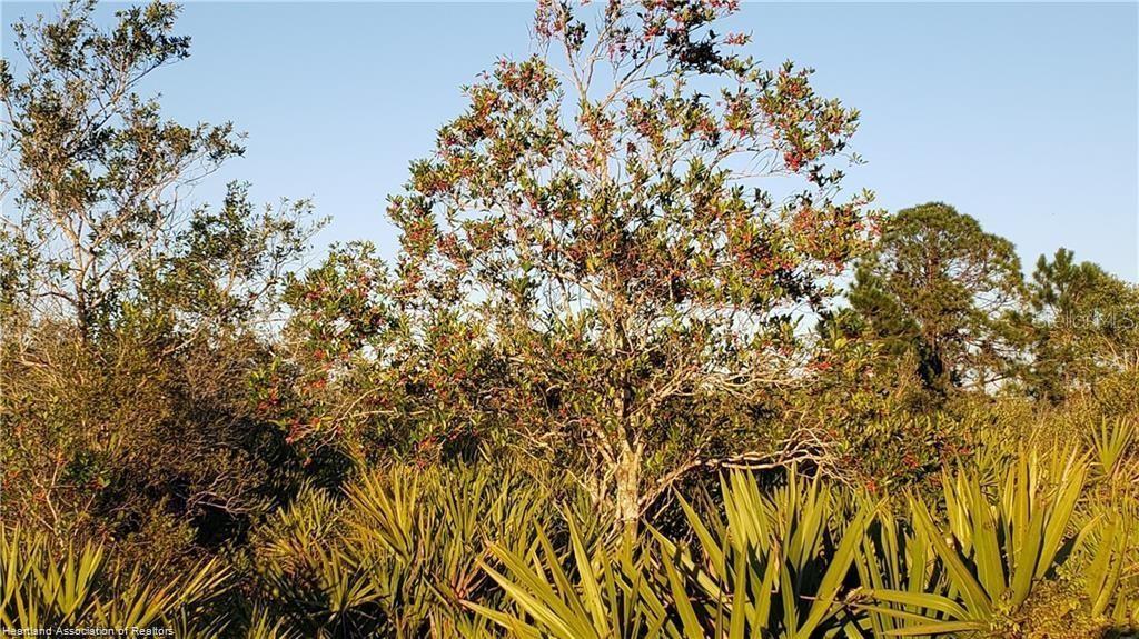 625 North Range Drive Lorida, FL 33857 - Photo 2 of 2