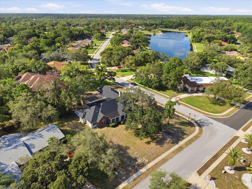 4558 Lake In The Woods Drive Spring Hill, FL 34607 - Photo 7 of 55