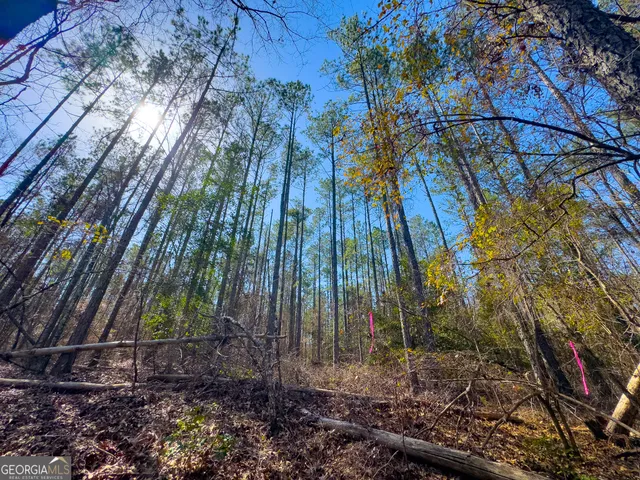 a view of a backyard of the house