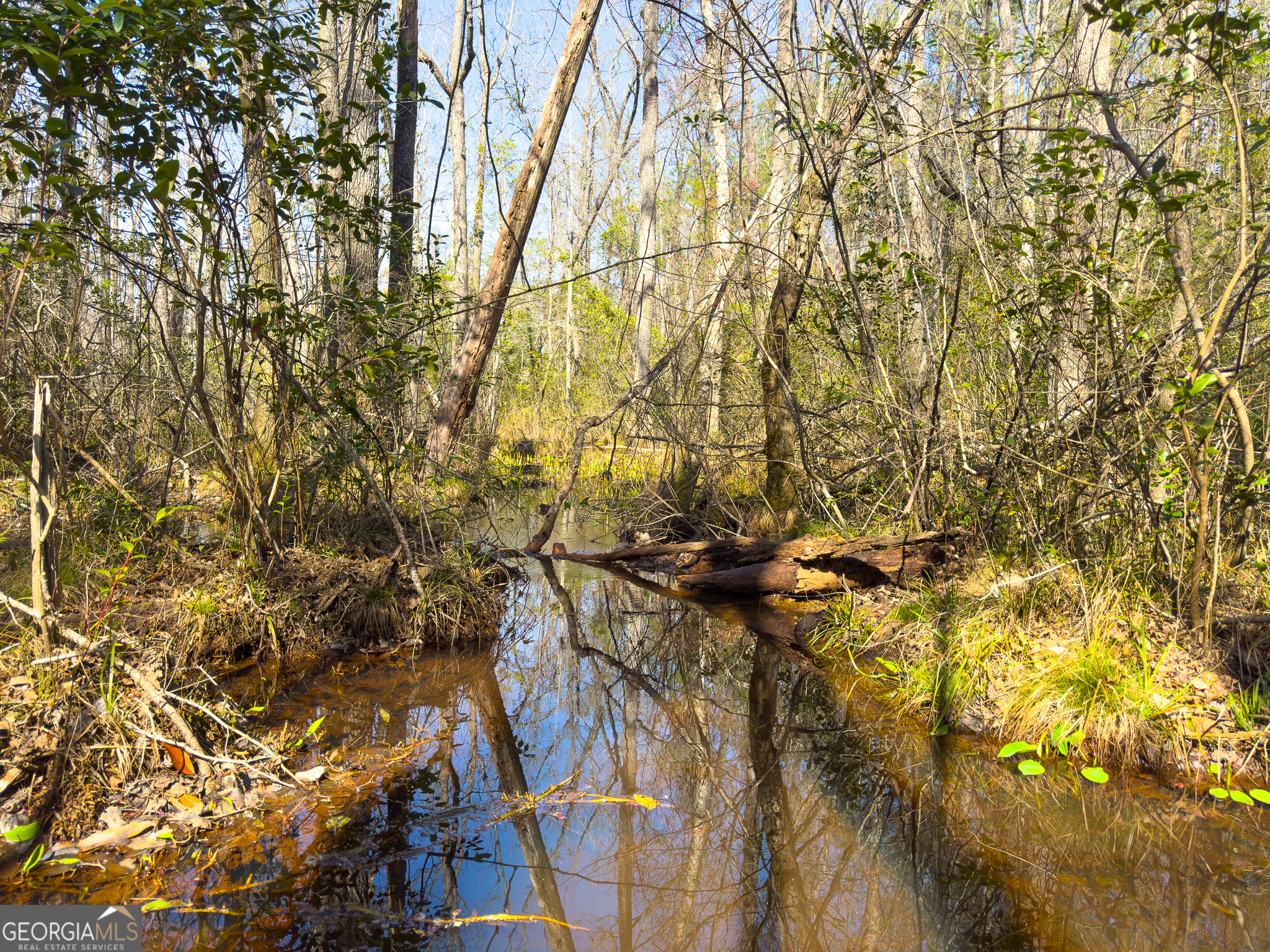 0 Laurel Branch Road McIntyre, GA 31054 - Photo 16 of 27 a backyard of a house with a tree