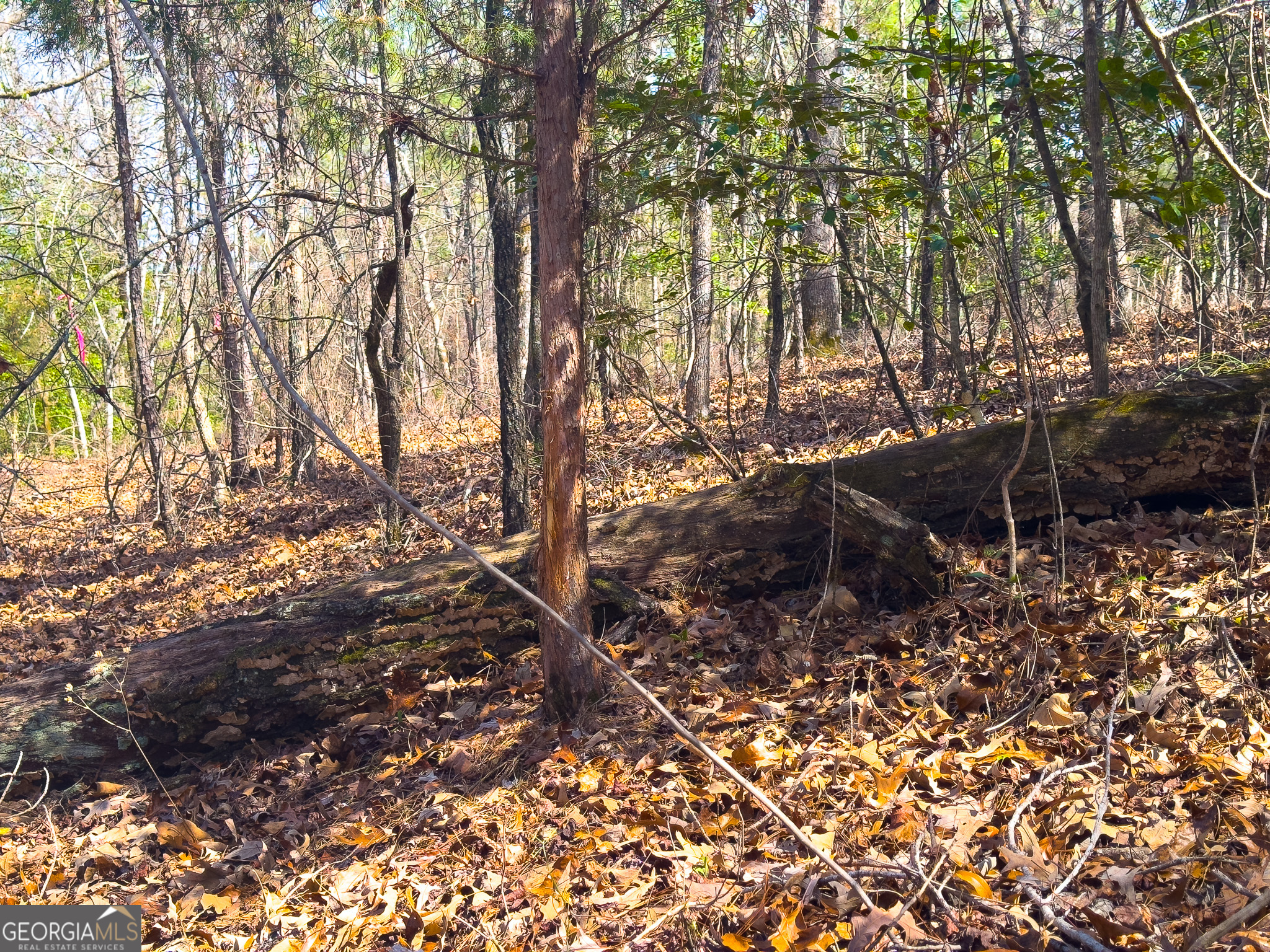 0 Laurel Branch Road McIntyre, GA 31054 - Photo 2 of 27 a backyard of a house with lots of green space