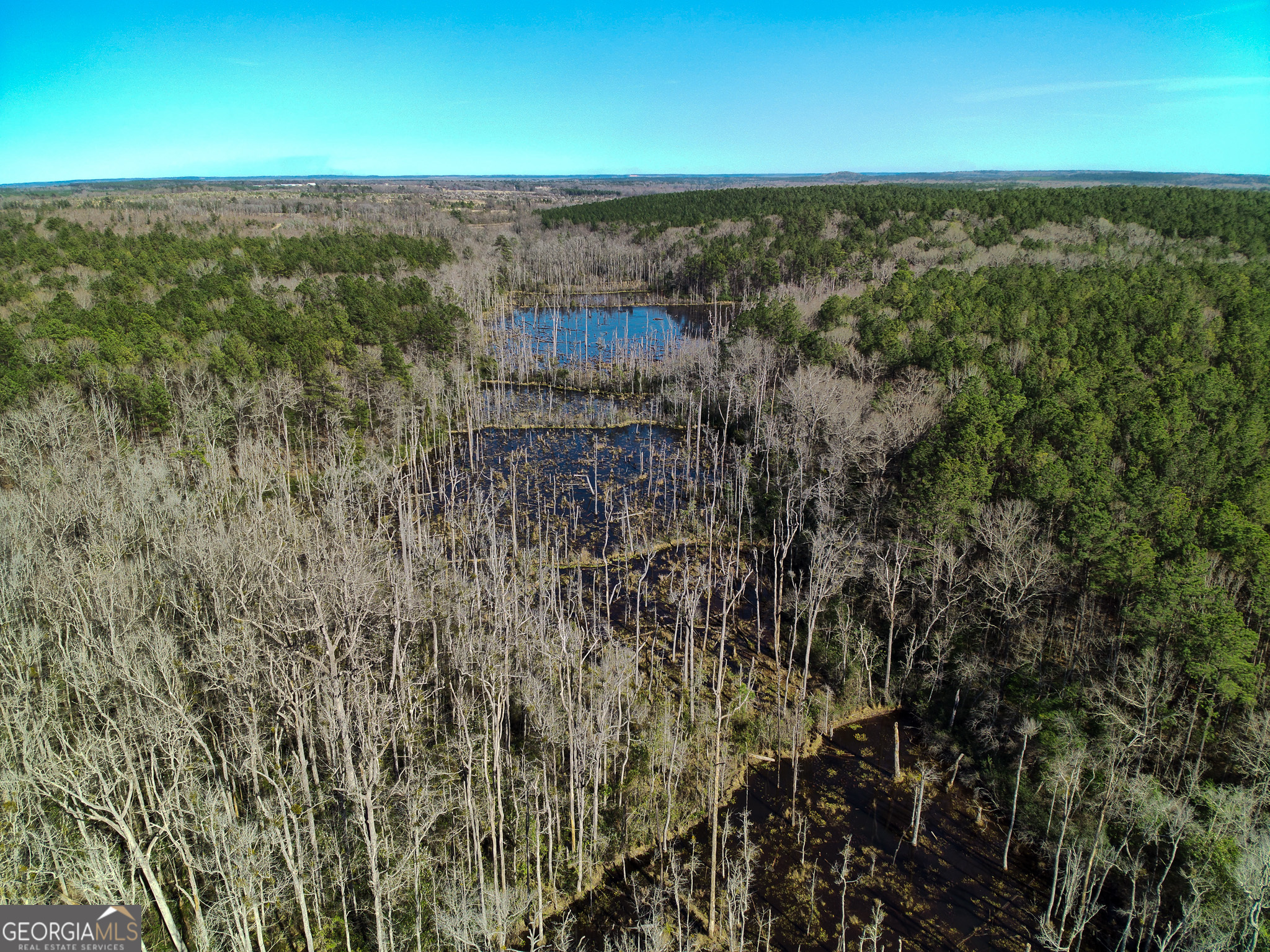 0 Laurel Branch Road McIntyre, GA 31054 - Photo 21 of 27 a view of a city from a yard