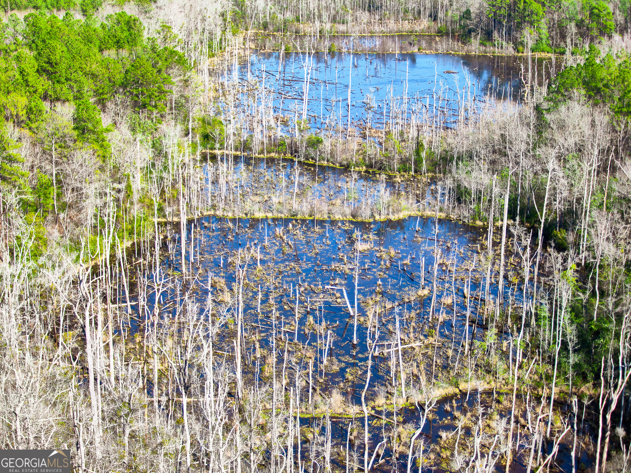 0 Laurel Branch Road McIntyre, GA 31054 - Photo 22 of 27 a view of a pathway with a wooden fence
