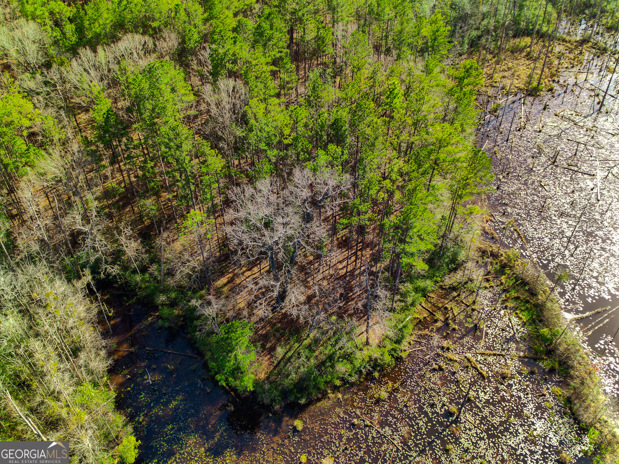 0 Laurel Branch Road McIntyre, GA 31054 - Photo 23 of 27