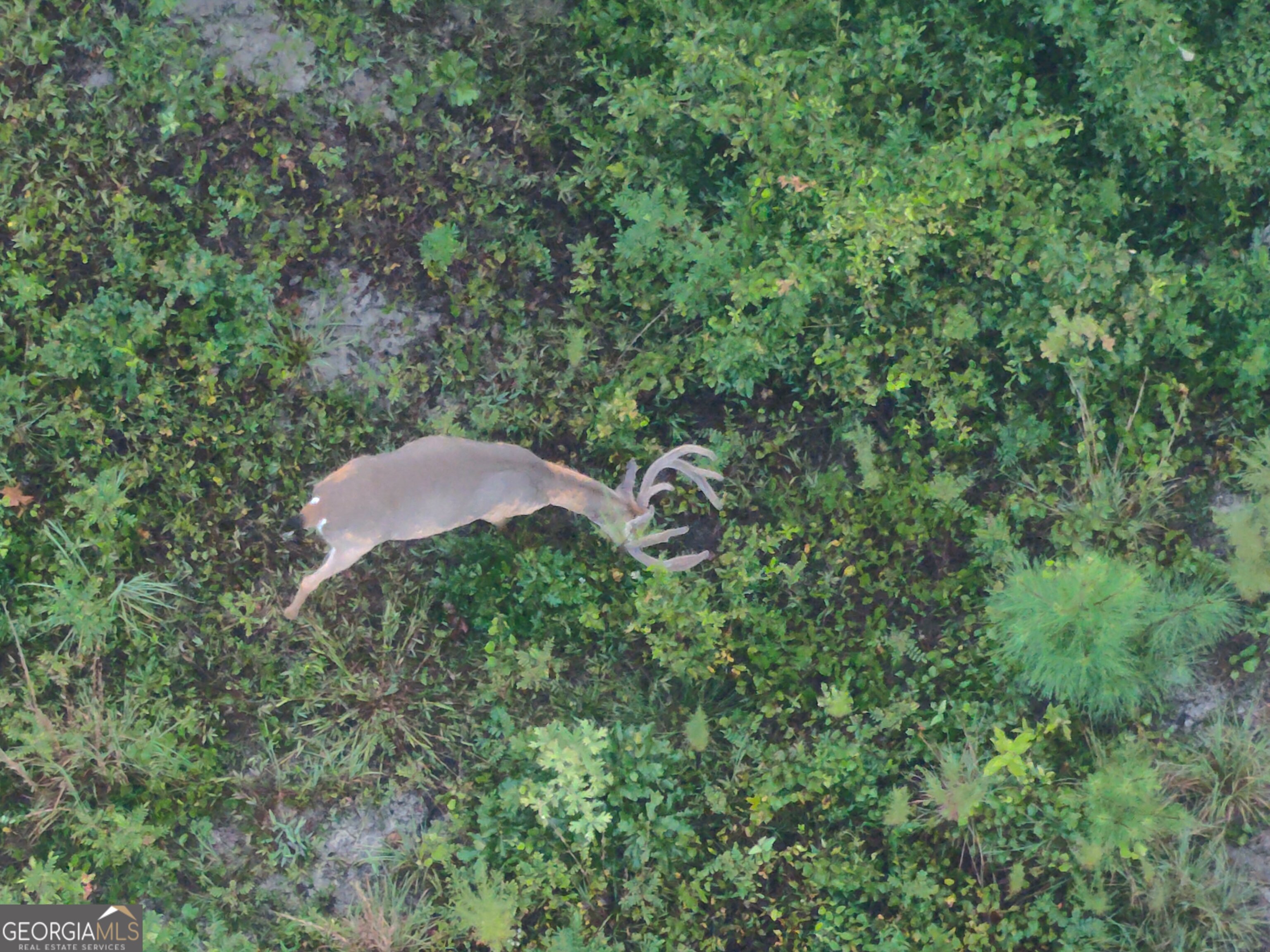 0 Laurel Branch Road McIntyre, GA 31054 - Photo 25 of 27 an aerial view of a house with a yard