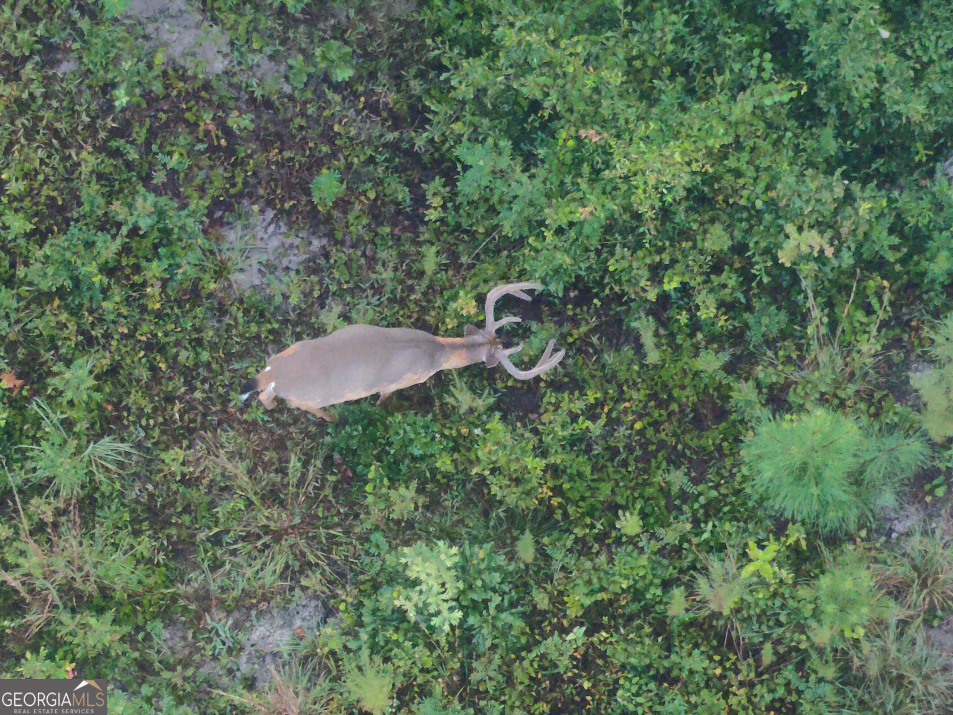 0 Laurel Branch Road McIntyre, GA 31054 - Photo 26 of 27 a backyard of a house with outdoor seating and green space