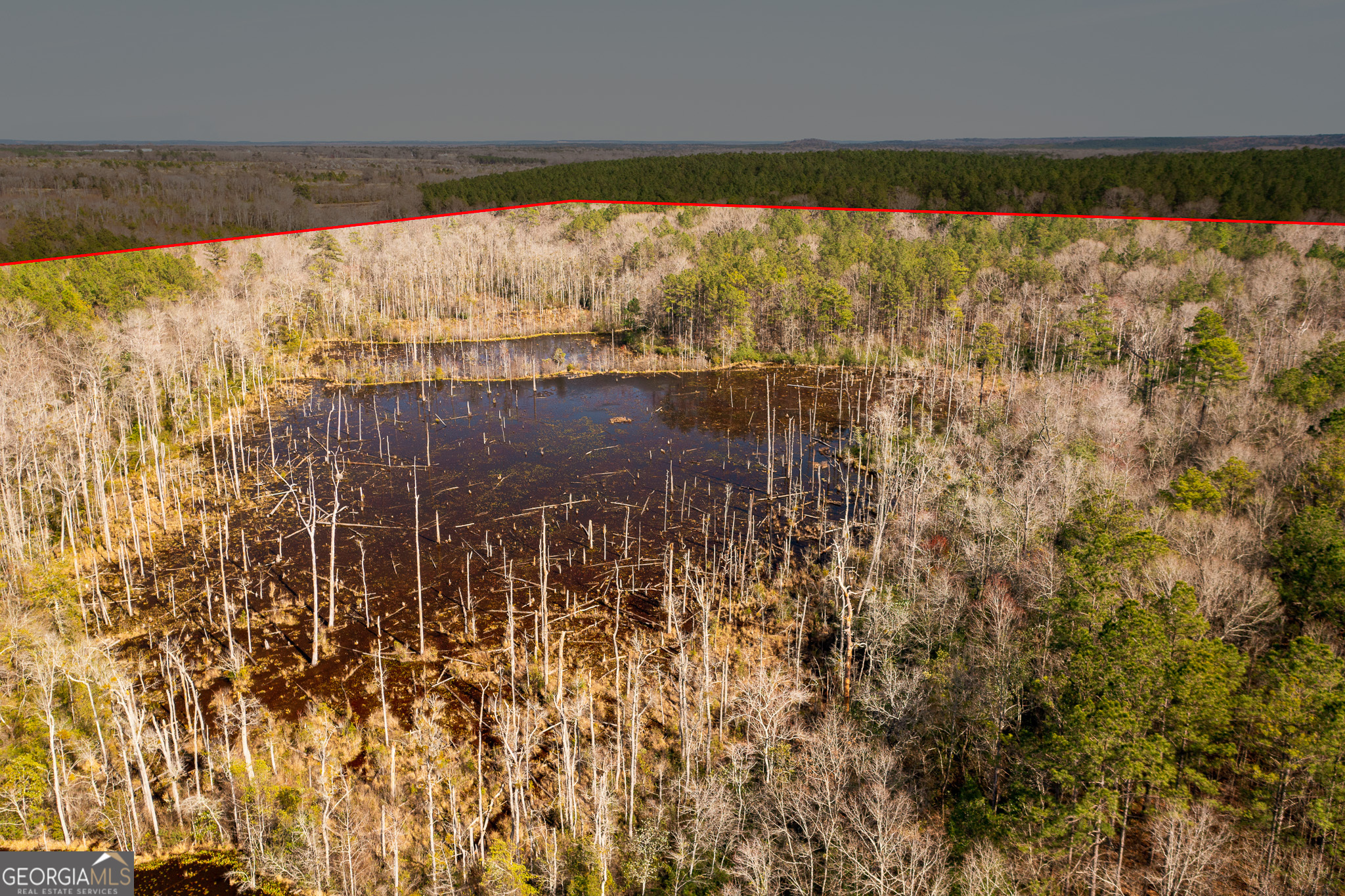 0 Laurel Branch Road McIntyre, GA 31054 - Photo 7 of 27
