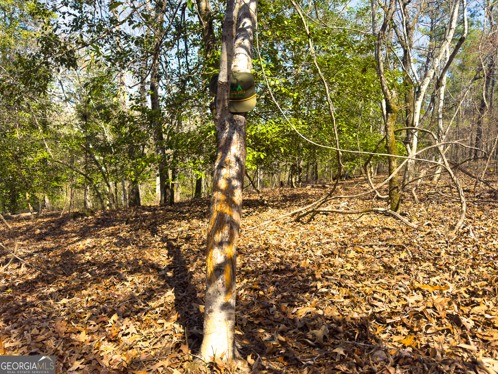 0 Laurel Branch Road McIntyre, GA 31054 - Photo 9 of 27