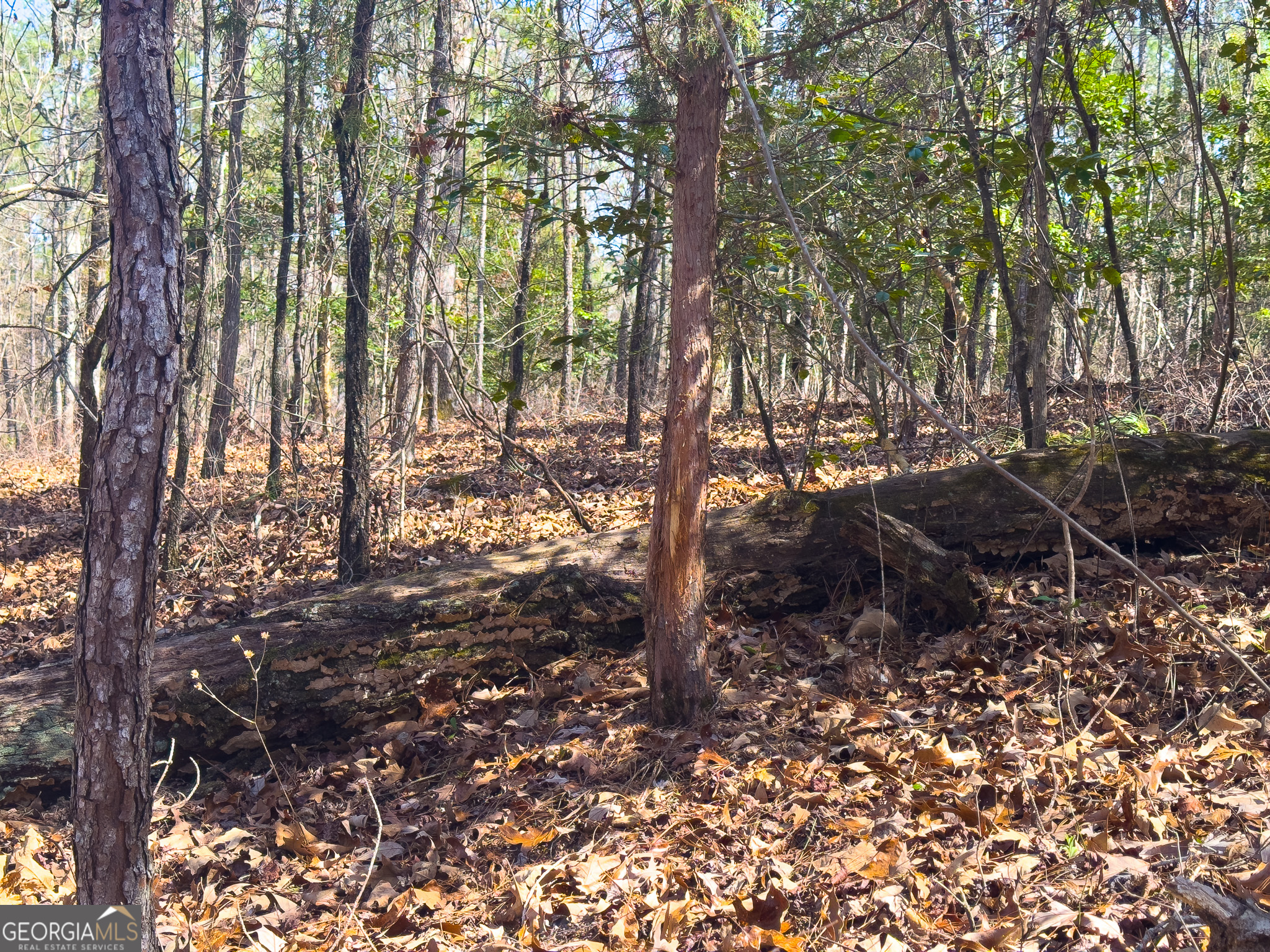 0 Laurel Branch Road McIntyre, GA 31054 - Photo 10 of 27 a view of outdoor space