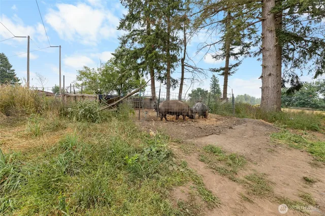 a view of a yard with an tree