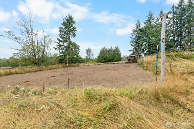 a view of a backyard