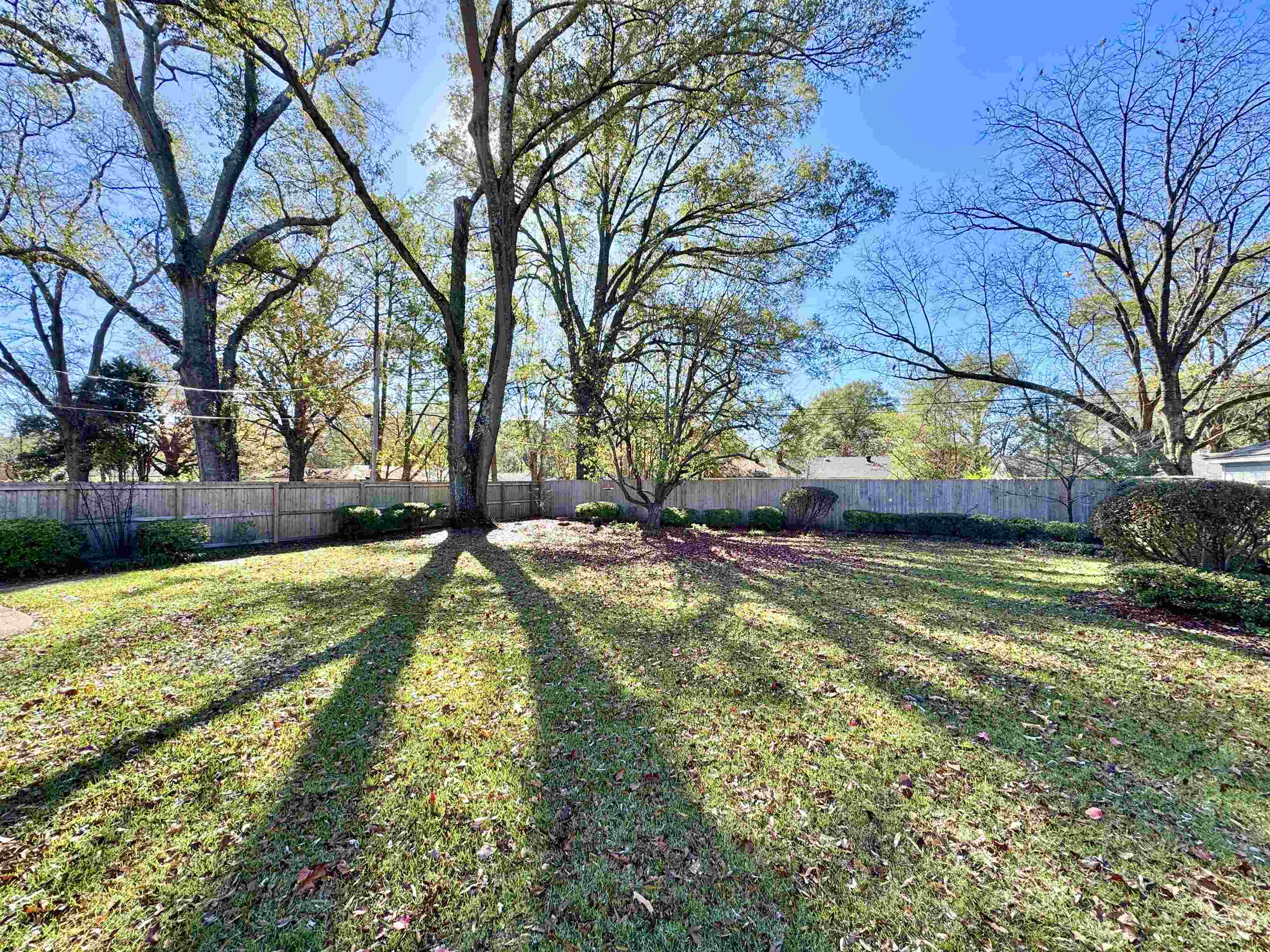 4417 Fair Meadow Road Memphis, TN 38117 - Photo 28 of 38 a view of swimming pool with a yard