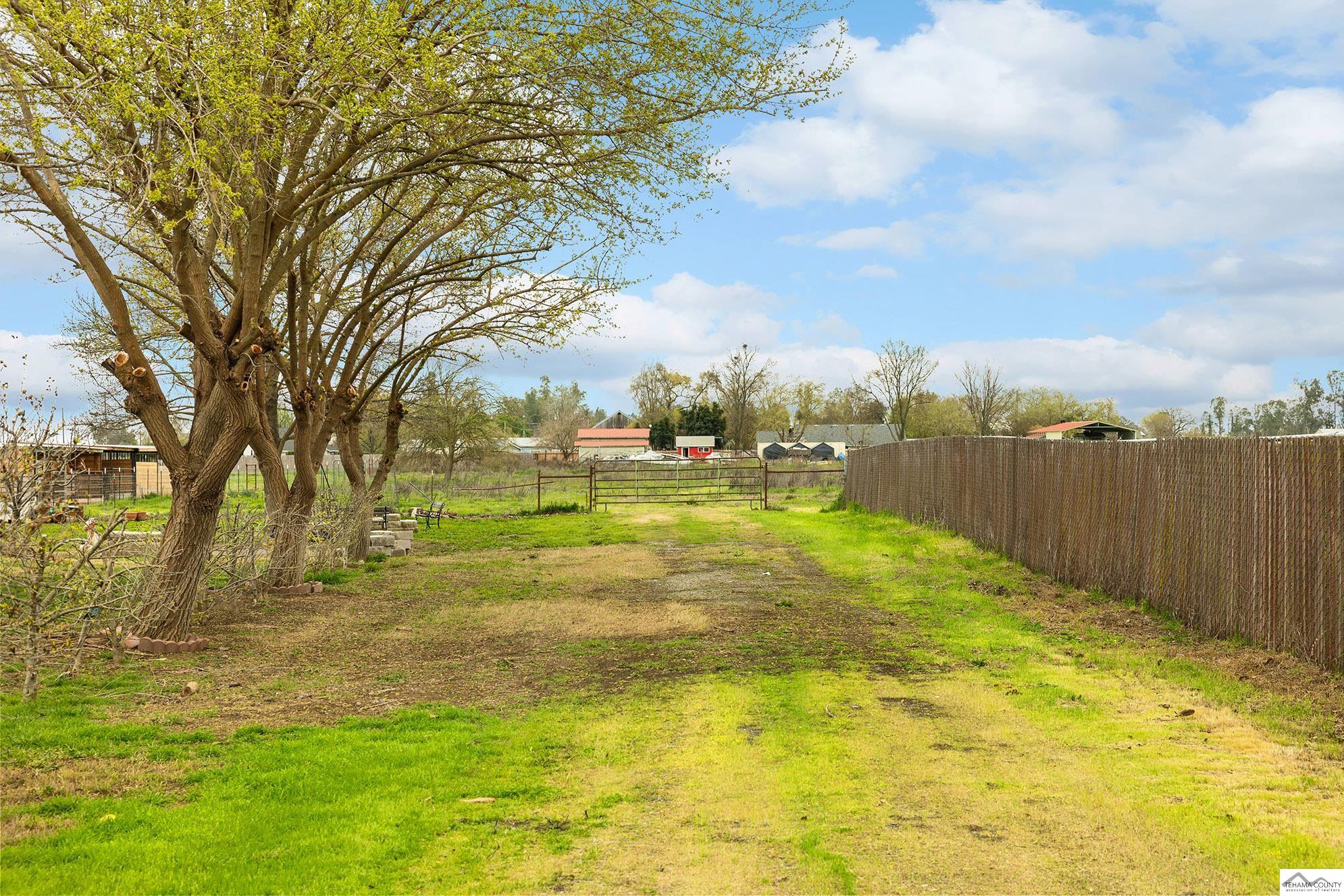 0 County Rd 20 Orland, CA 95963 - Photo 14 of 22