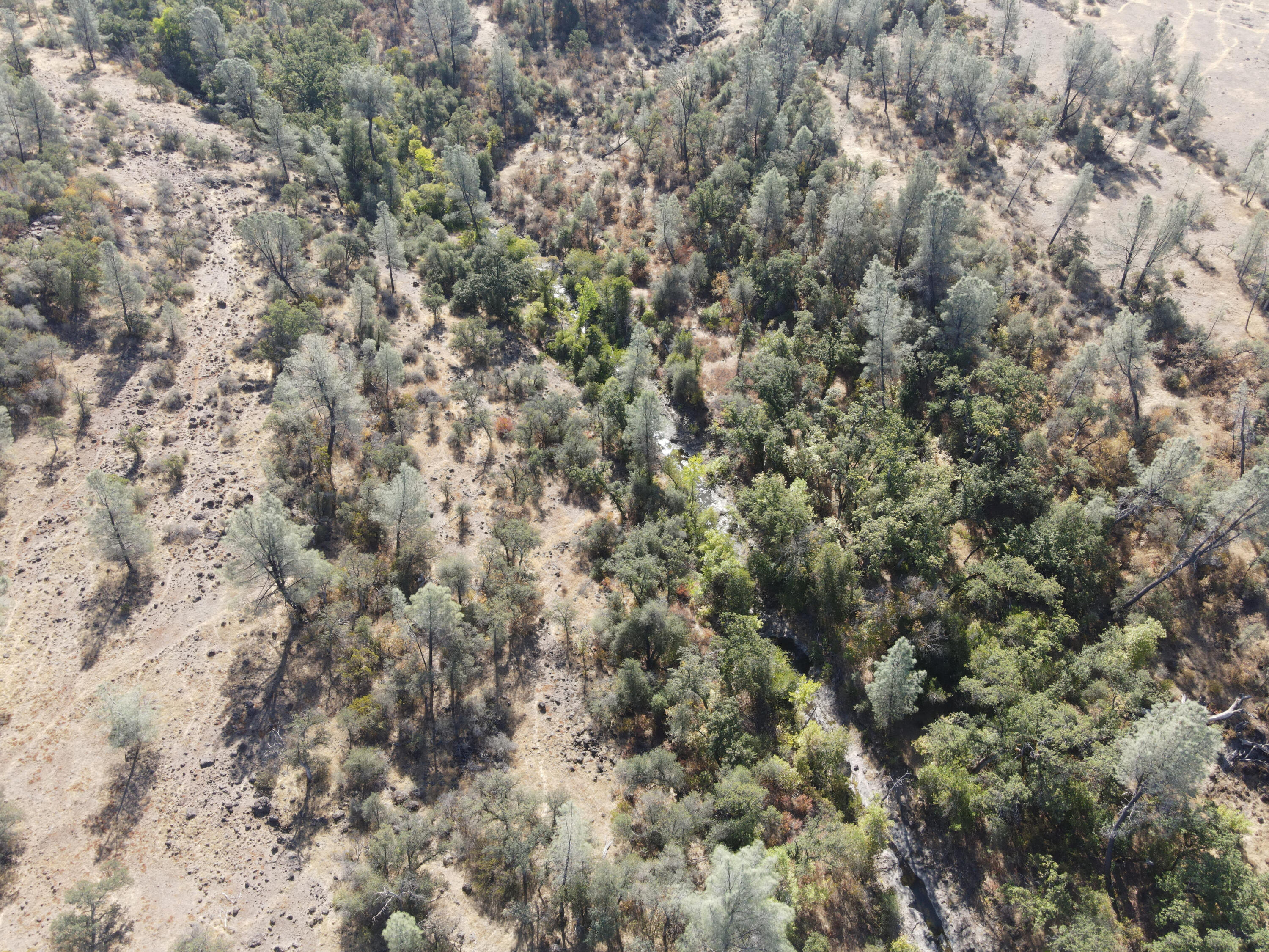 Nsa Dersch Road Shingletown, CA 96088 - Photo 13 of 56 DJI_0505_result