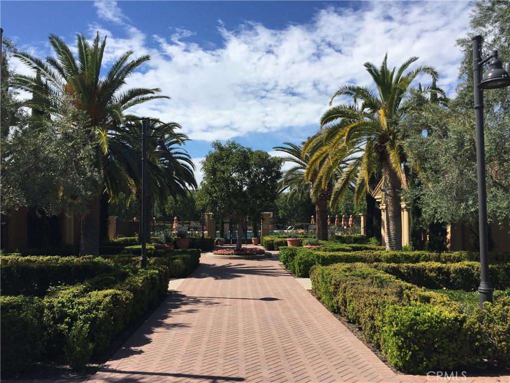 36 Brindisi Irvine, CA 92618 - Photo 25 of 44 a park with palm trees