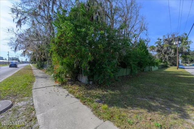 a view of a yard with plants and trees