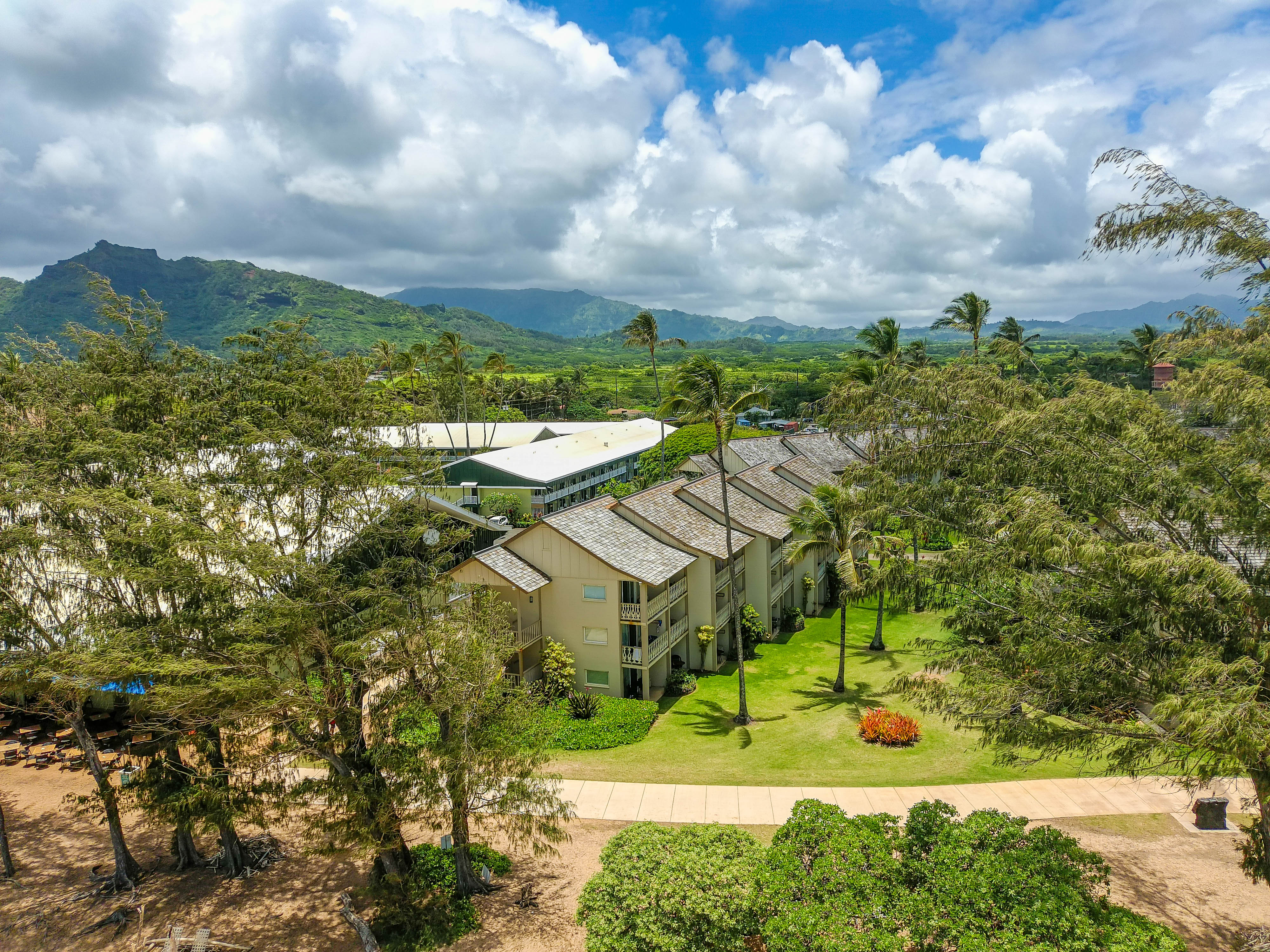 440 Aleka Place, Unit 256 Kapaa, HI 96746 - Photo 17 of 27 a view of a big yard with potted plants and large tree
