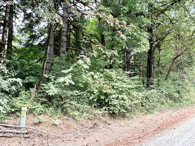 24049 Williams Road Monroe, OR 97456 - Photo 20 of 22 Gallery Image 20