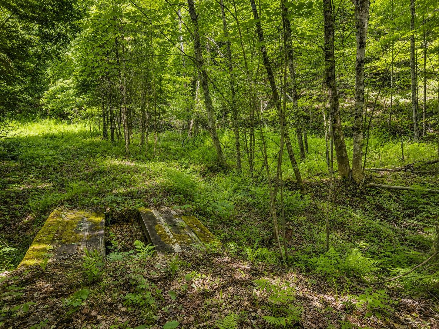 785 Leroux Road Wheelock, VT 05851 - Photo 44 of 57