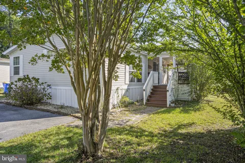 a view of a backyard with large tree