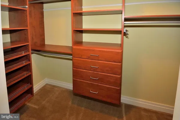 a view of walk in closet with empty racks