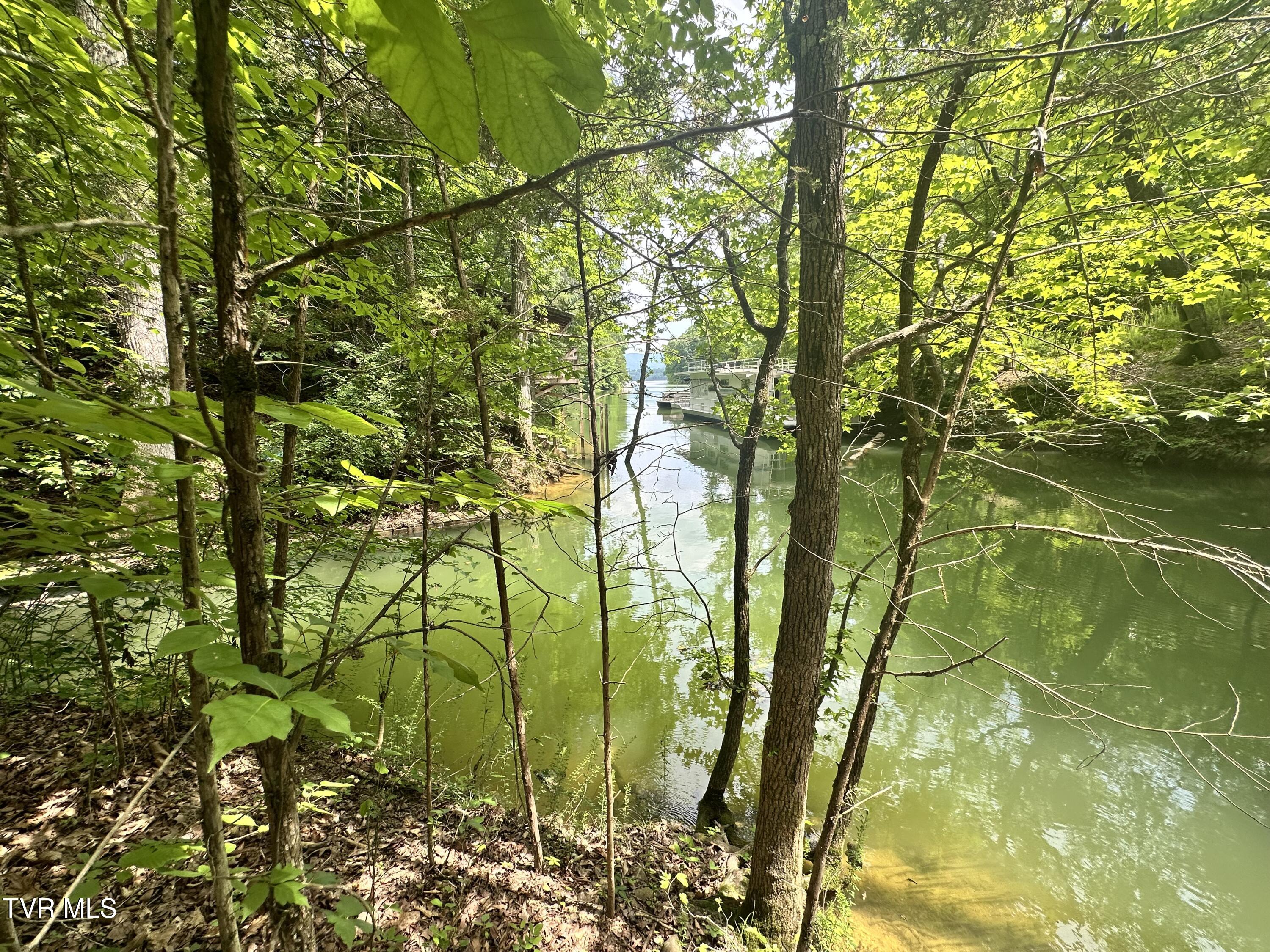 8 Woods Ridge Road, Unit PT 8 Dandridge, TN 37725 - Photo 2 of 6 IMG_3019