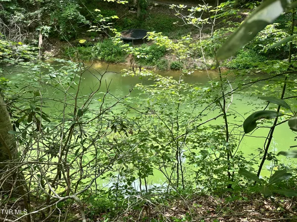 $119,900 | 8 Woods Ridge Road, Unit PT 8, Dandridge, TN 37725