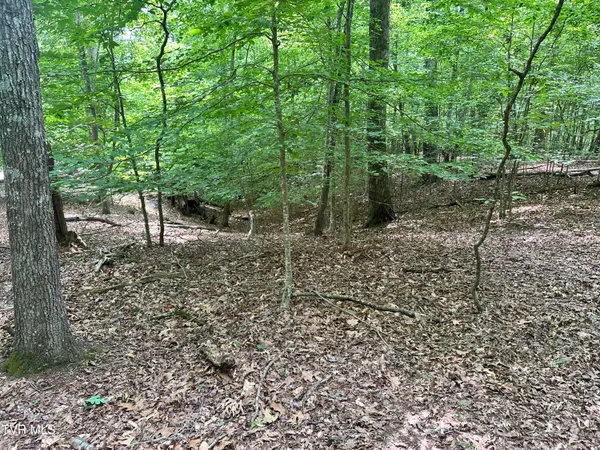 $119,900 | 8 Woods Ridge Road, Unit PT 8, Dandridge, TN 37725