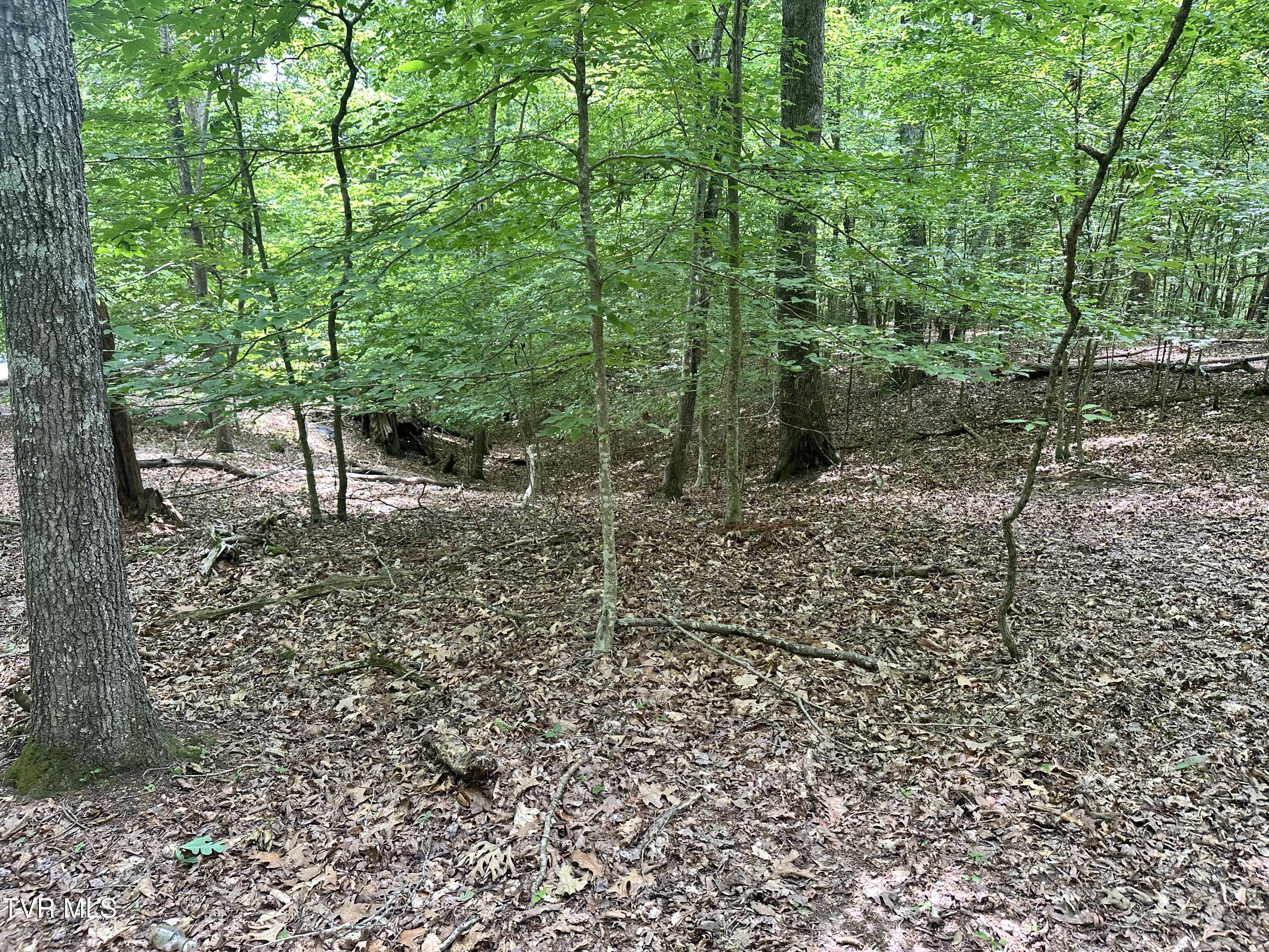 8 Woods Ridge Road, Unit PT 8 Dandridge, TN 37725 - Photo 5 of 6 IMG_3015