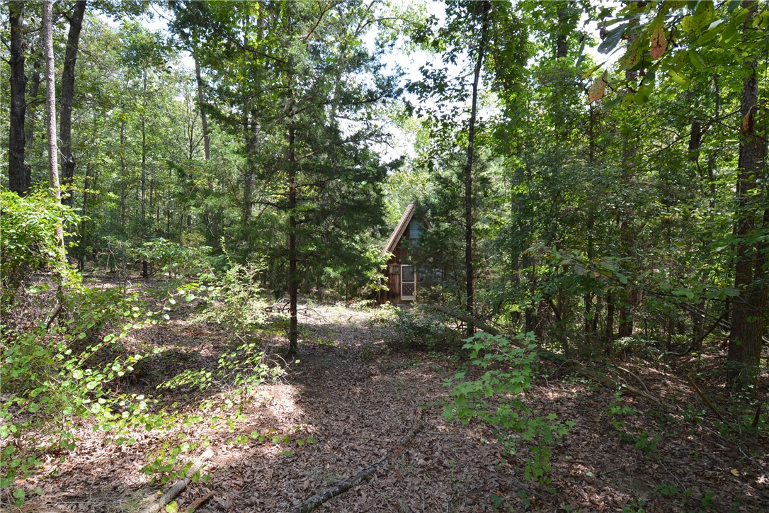 290 Beaver Lodge Road Hartwell, GA 30643 - Photo 11 of 15 Gallery Image 11