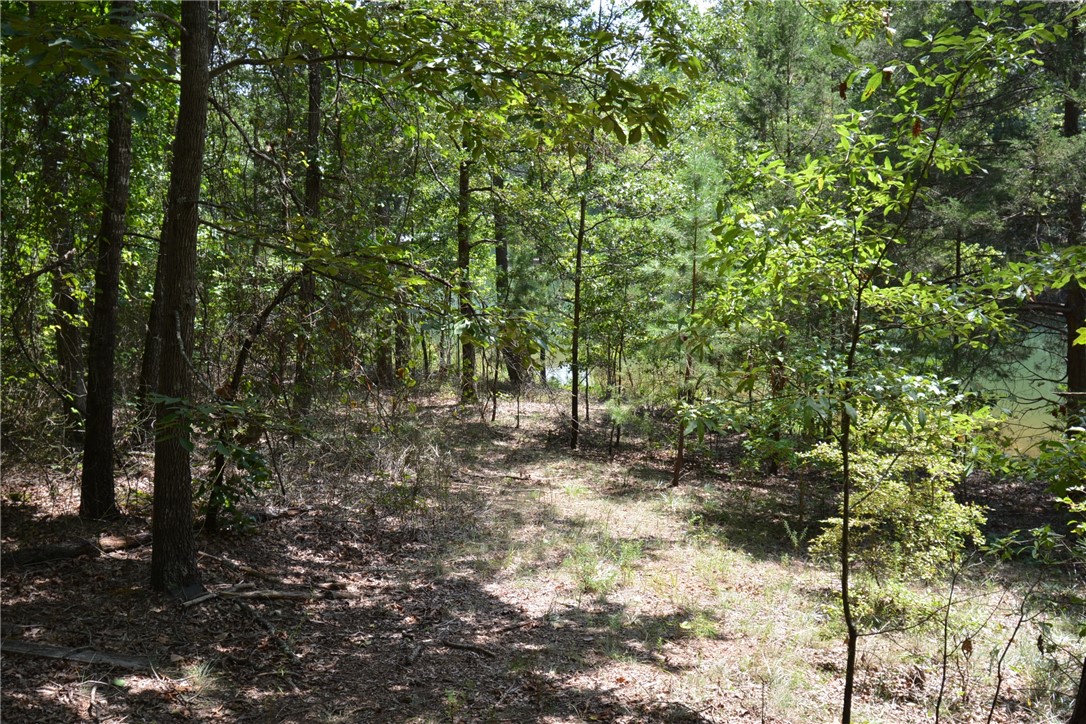 290 Beaver Lodge Road Hartwell, GA 30643 - Photo 4 of 15 Gallery Image 4