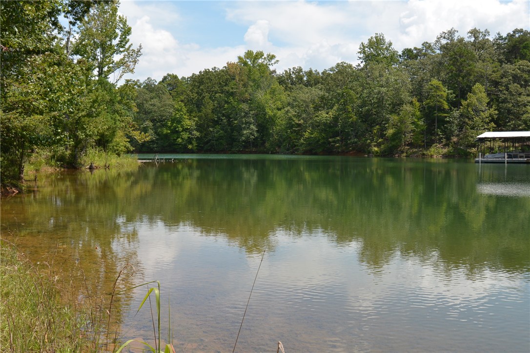 290 Beaver Lodge Road Hartwell, GA 30643 - Photo 6 of 15 Gallery Image 6